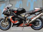 Aprilia RSV 1000 Mille R Edwards Replica